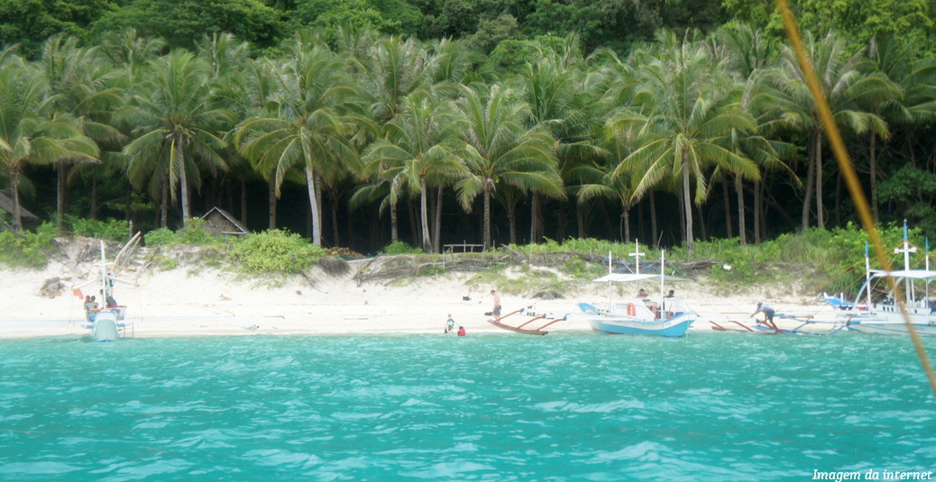 Gratidão e esforço