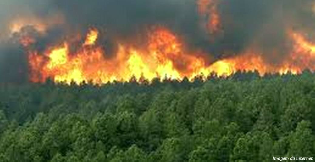 Incêndio na floresta