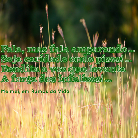 Fala Amparando