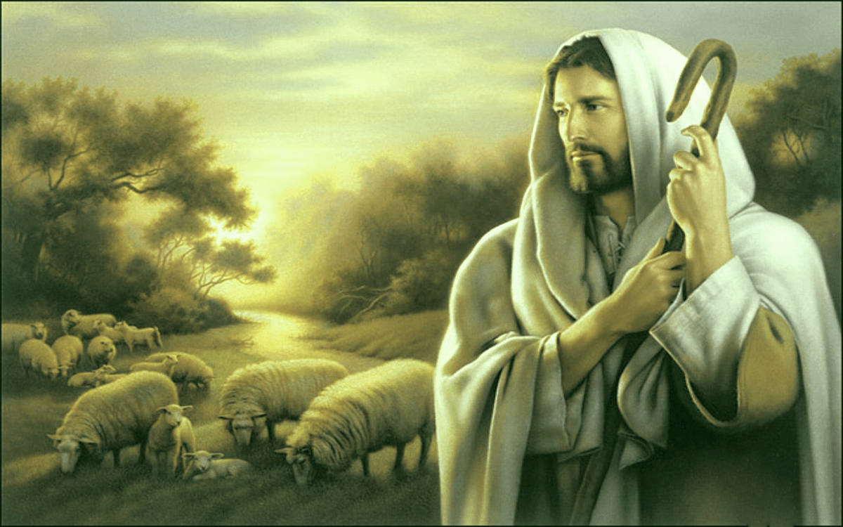Jesus o Pastor de nossas almas