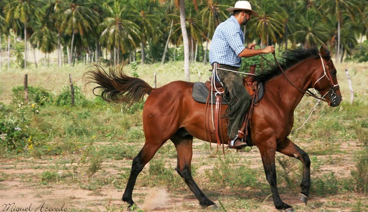 Obediência e resignação