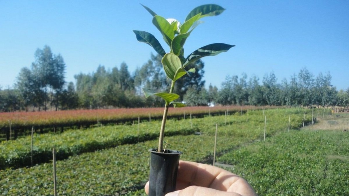 Caridade para conosco