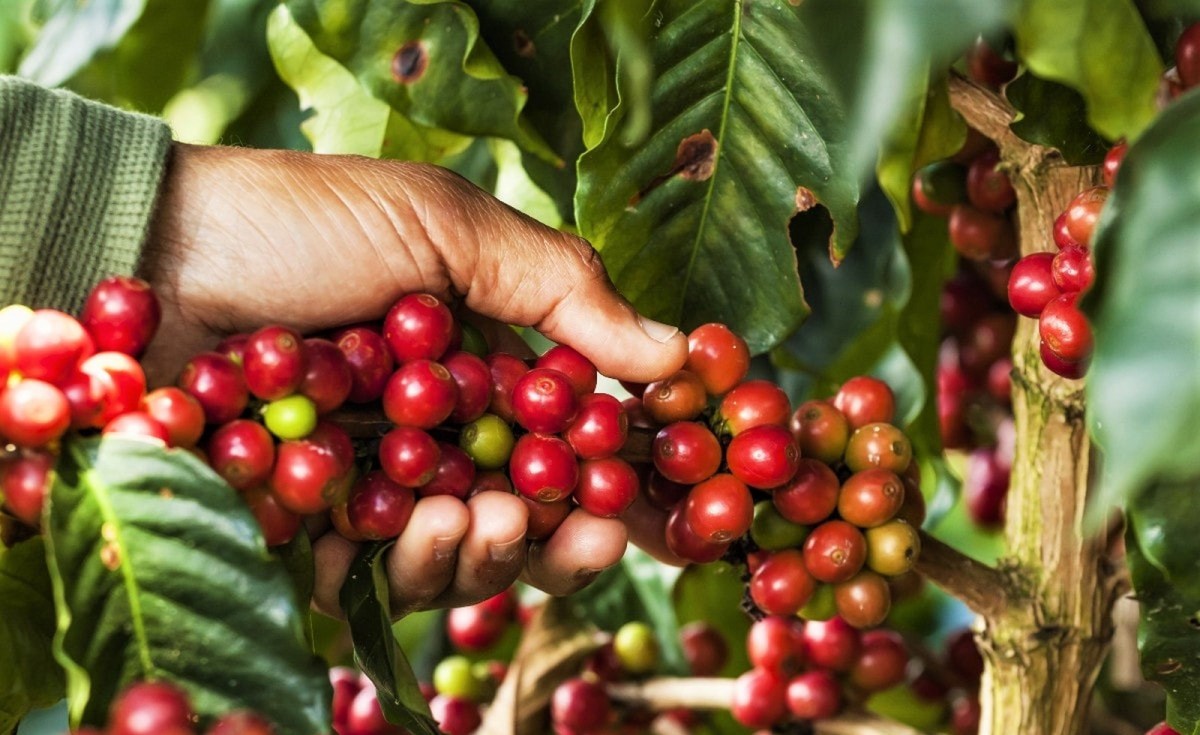 Remuneração espiritual