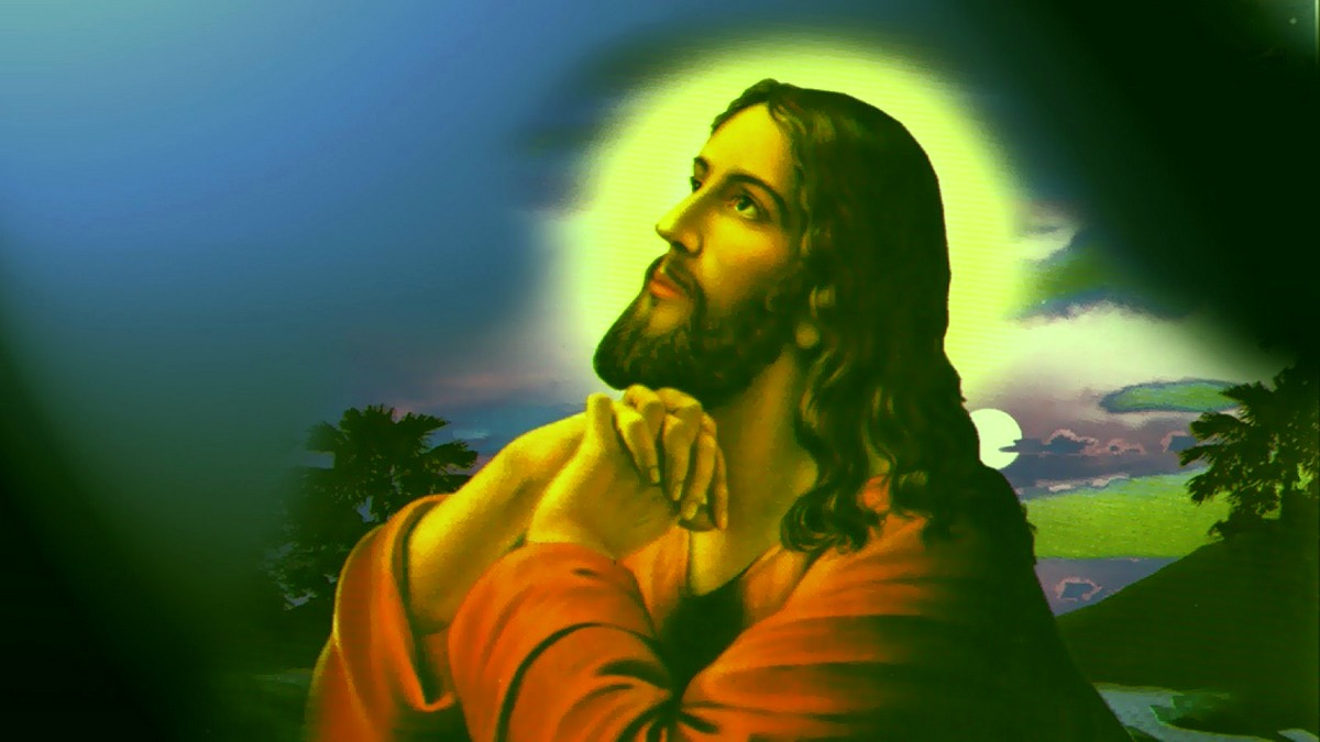 Petição e resposta